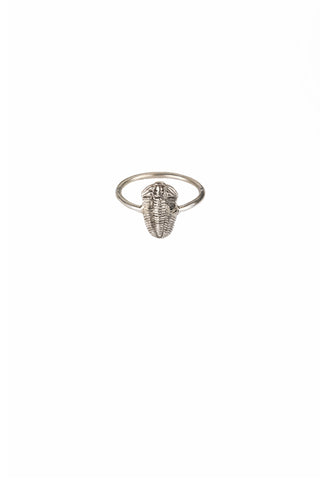 Trilobite Ring