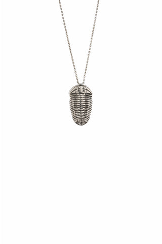 Trilobite Necklace