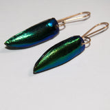 Scarab Wings Earrings